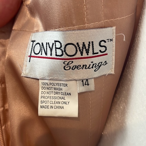 Tony Bowls Evenings Long Beaded Lace and Tulle Dress Gown - Picture 13 of 17